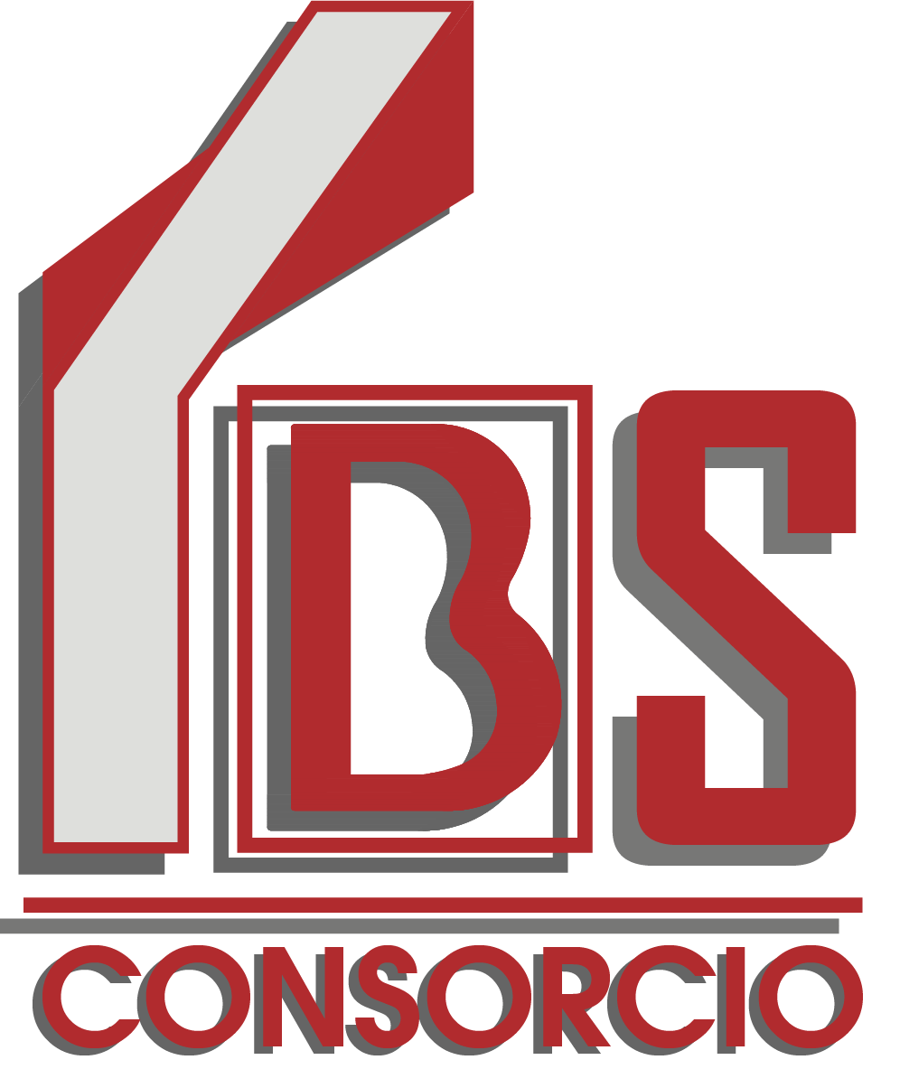 CONSORCIO IBS