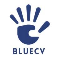 BLUE CV CONSULTORIA EMPRESARIAL SAS